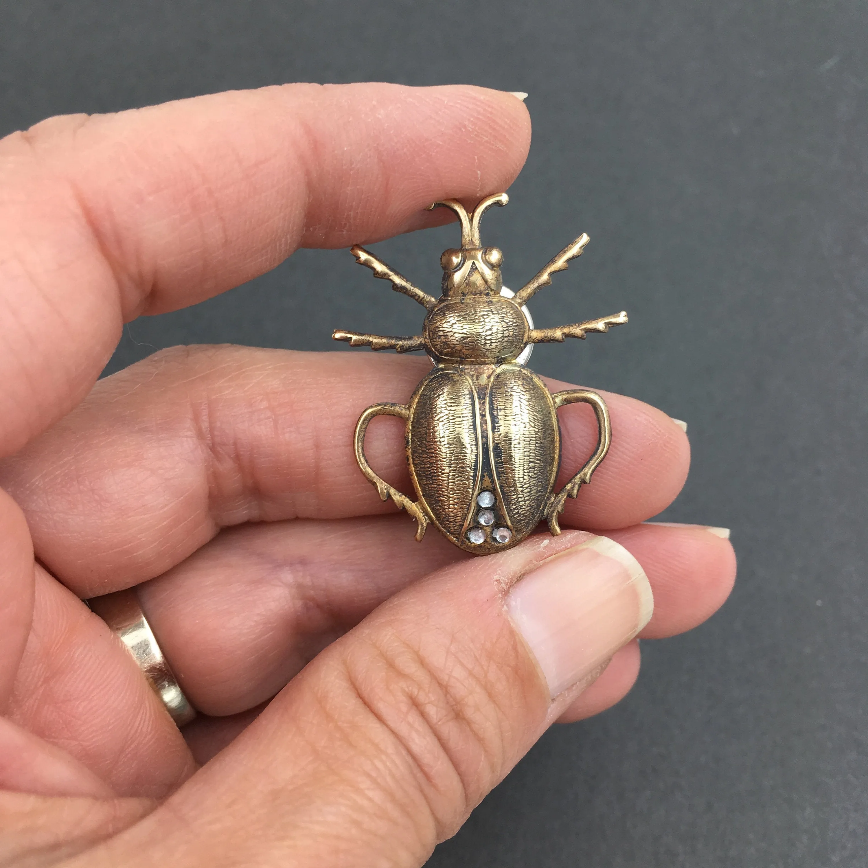 Brass and Rhinestone Scarab Beetle Insect Pin or Brooch