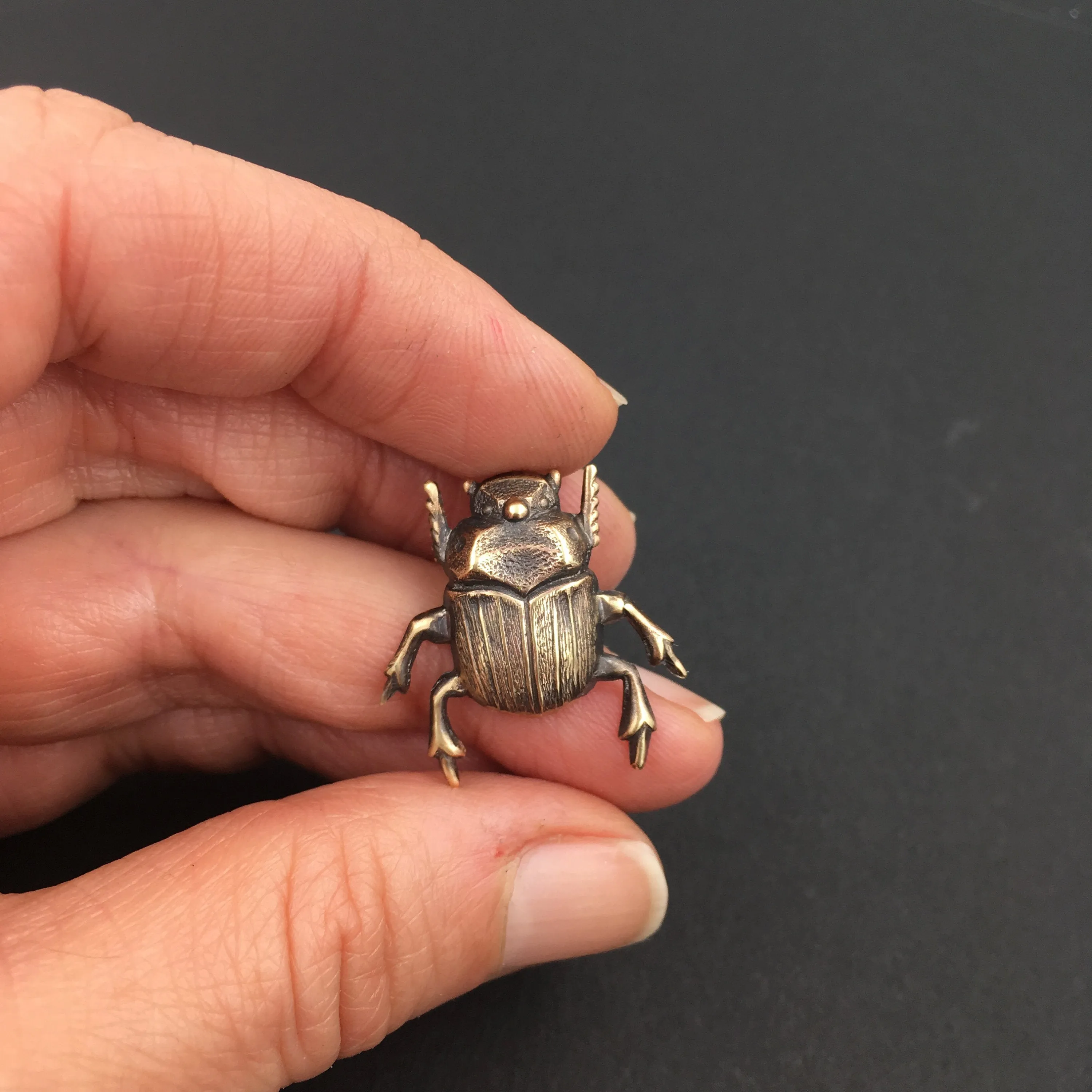 Brass Scarab Beetle Insect Brooch or Pin