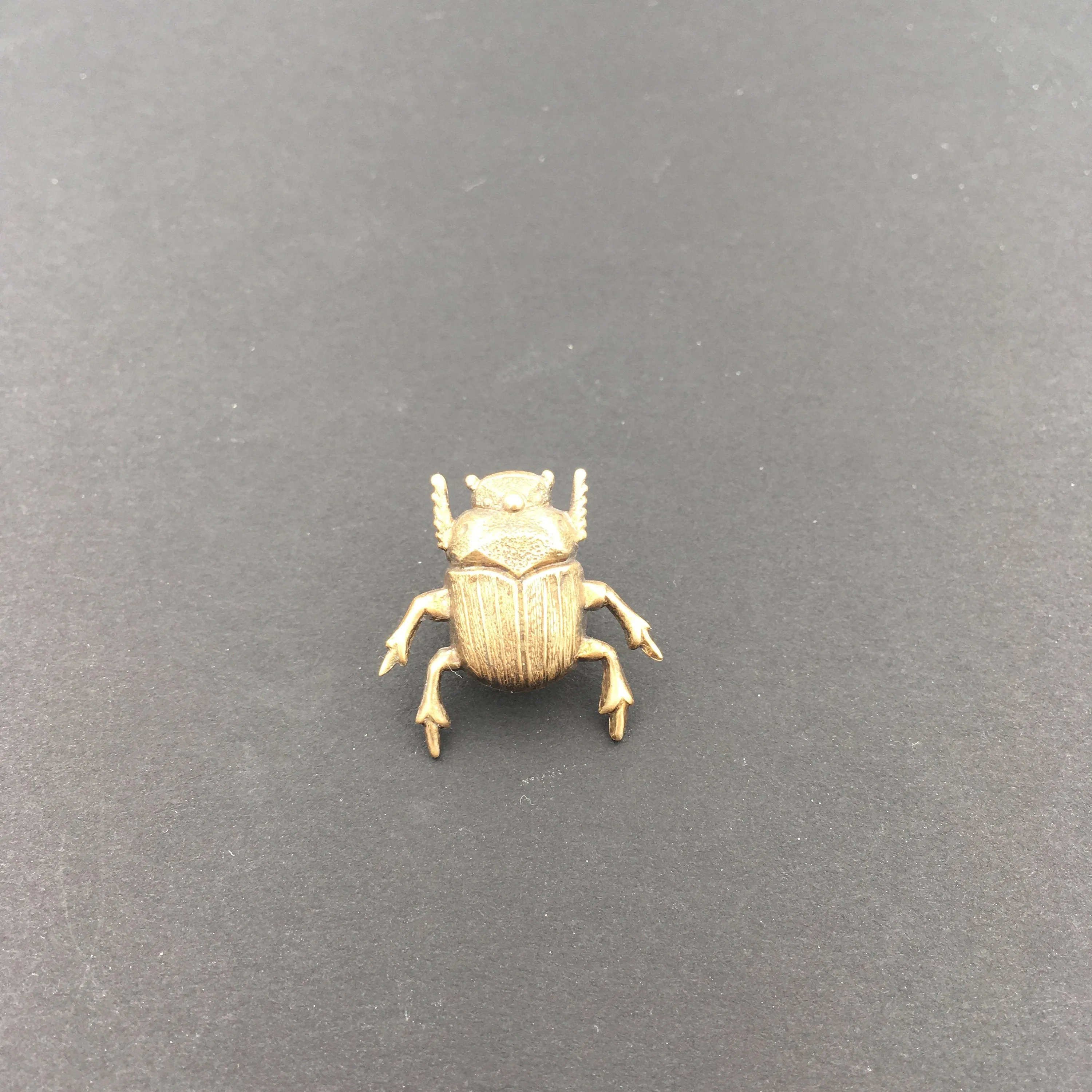 Brass Scarab Beetle Insect Brooch or Pin