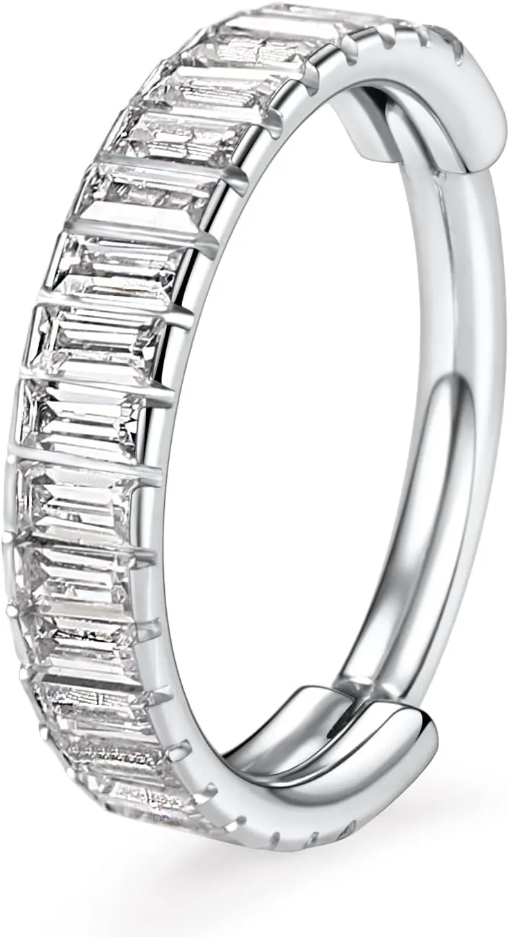 FUNLMO 316L Surgical Steel Hinged Segment Ring Conch Helix Septum Piercing Jewelry Nose Ring Hoop Huggie Earrings Small Hoop Earring