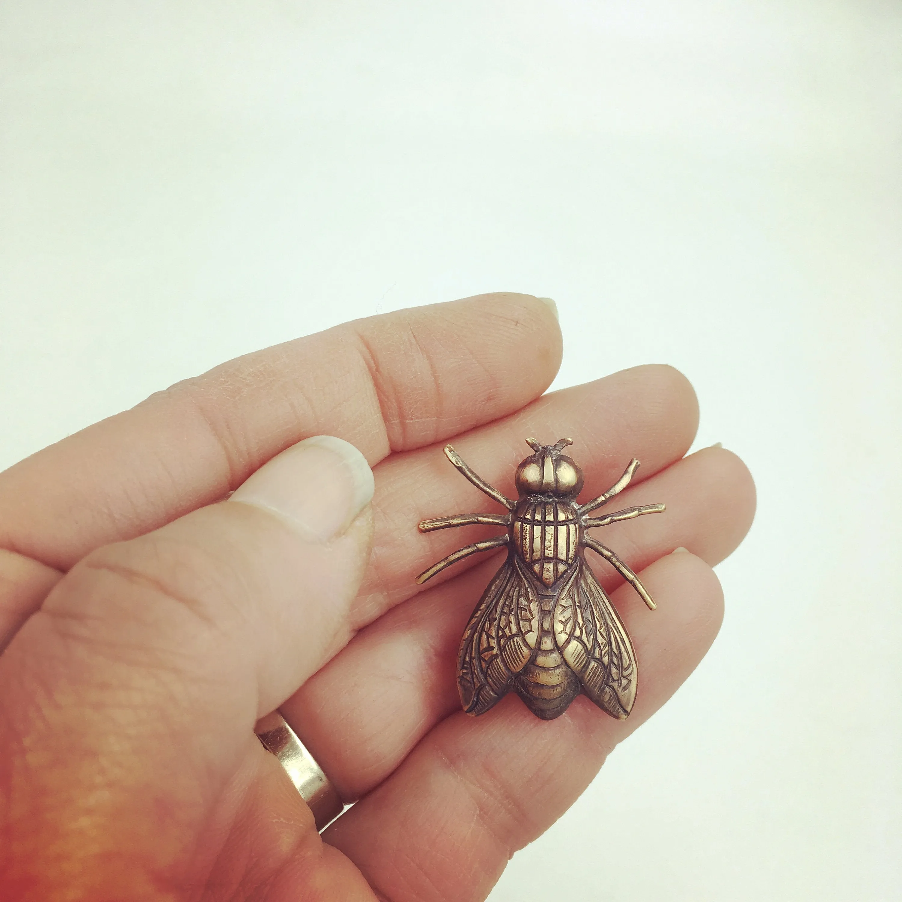 Medium Brass Fly Insect Pin or Brooch