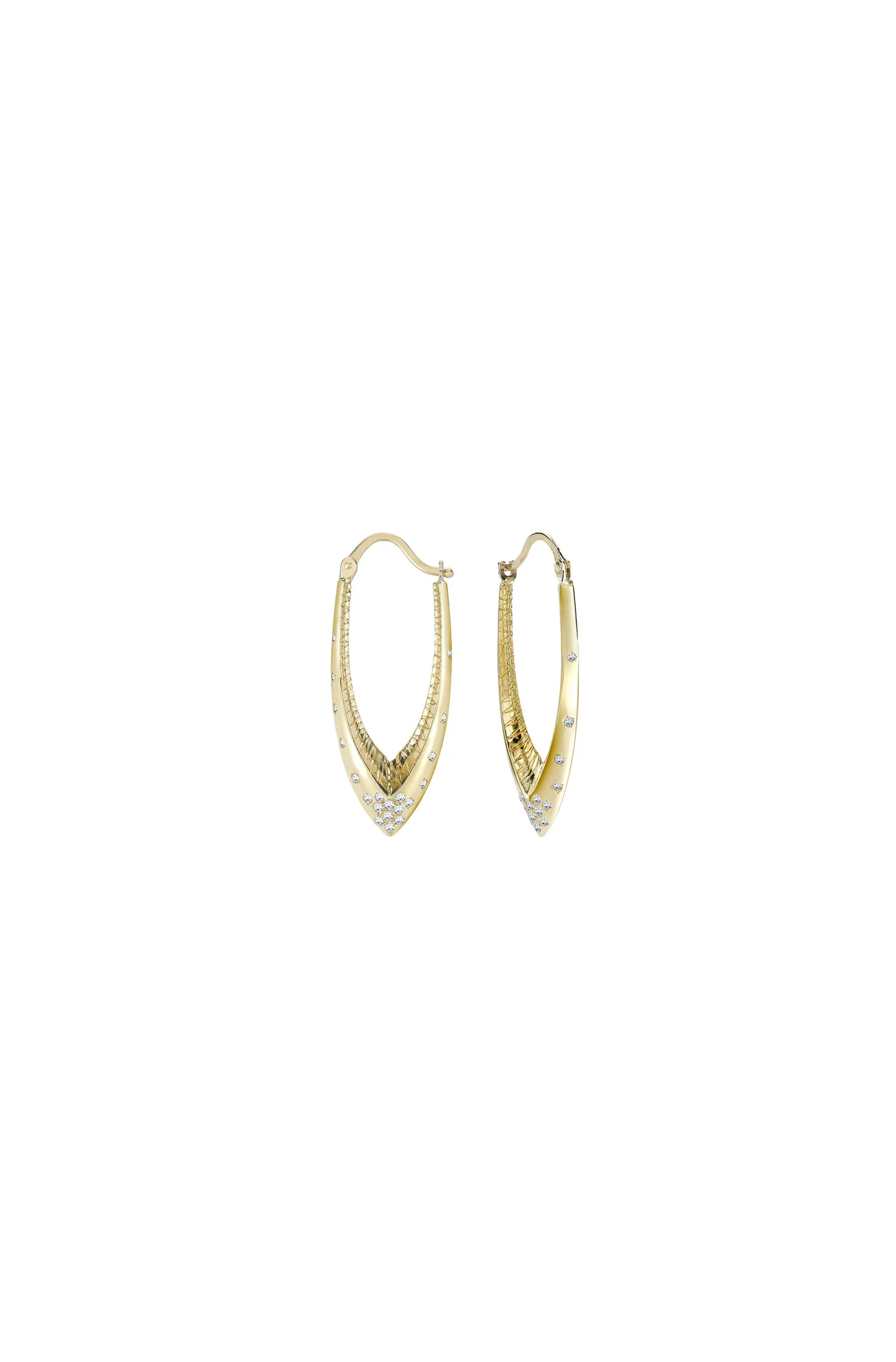 Parrot Star Fish Earrings