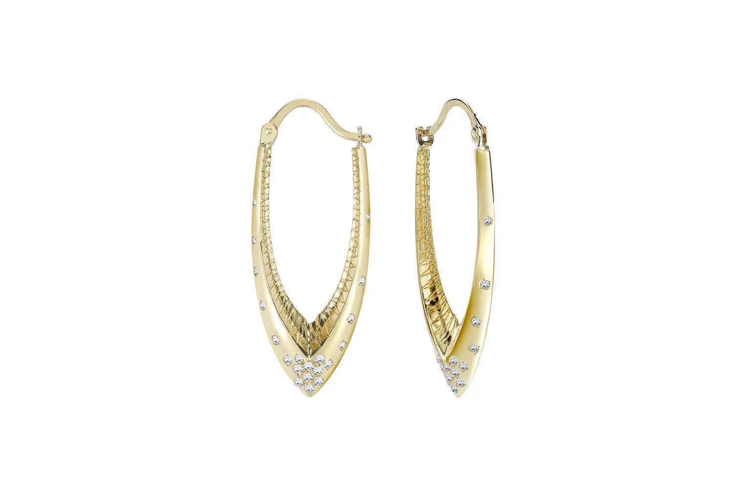 Parrot Star Fish Earrings