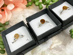 Sterling Silver Ammonite Rings