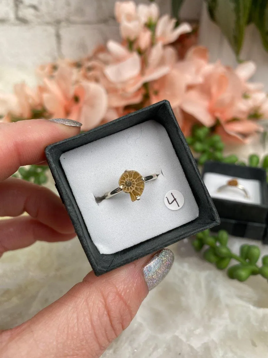 Sterling Silver Ammonite Rings