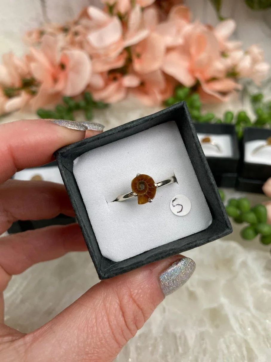 Sterling Silver Ammonite Rings
