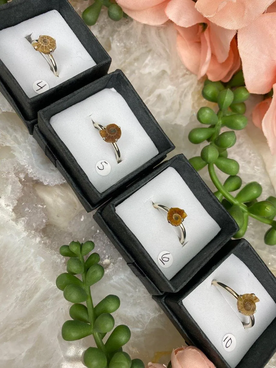 Sterling Silver Ammonite Rings