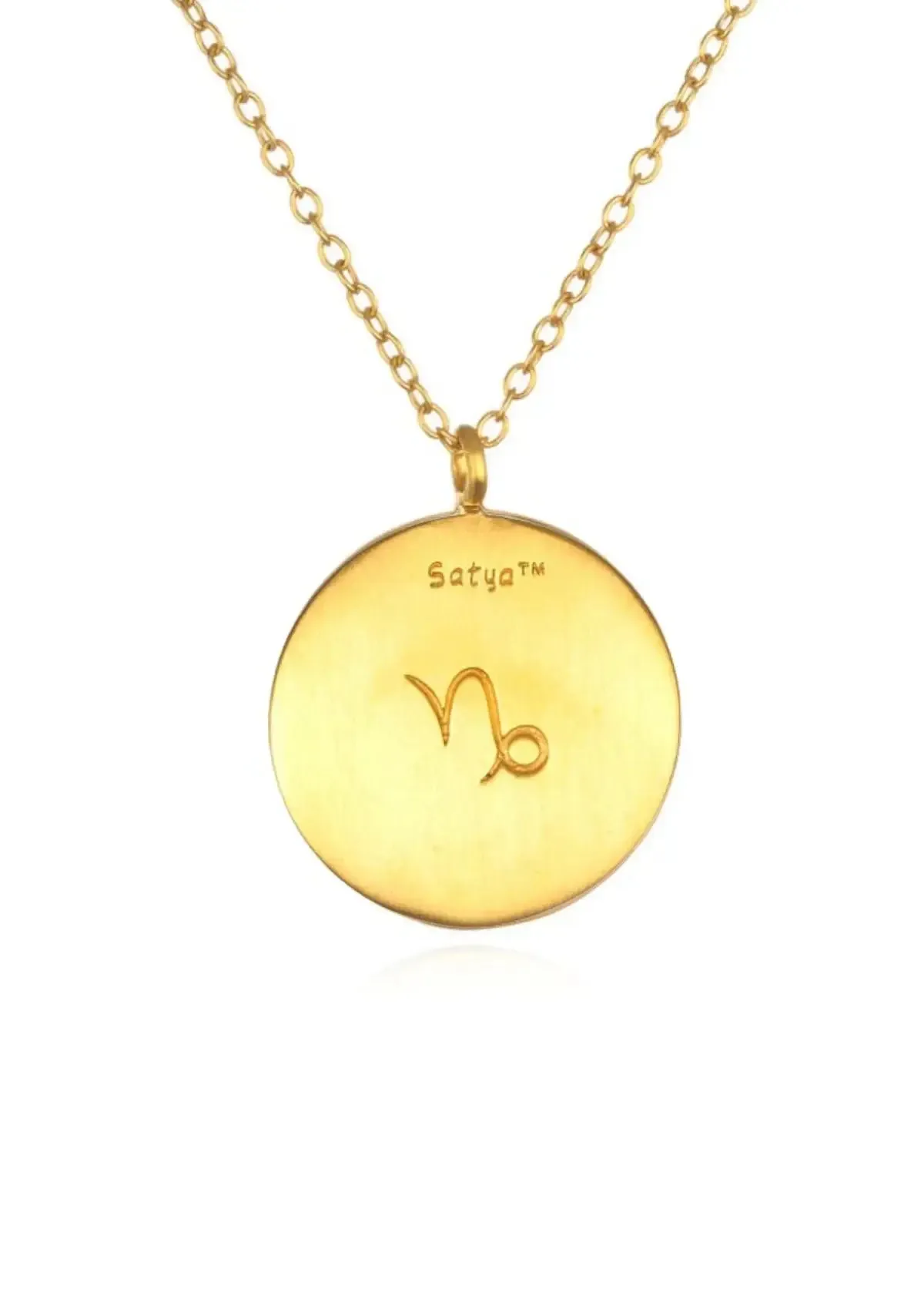 Zodiac Necklace - Capricorn