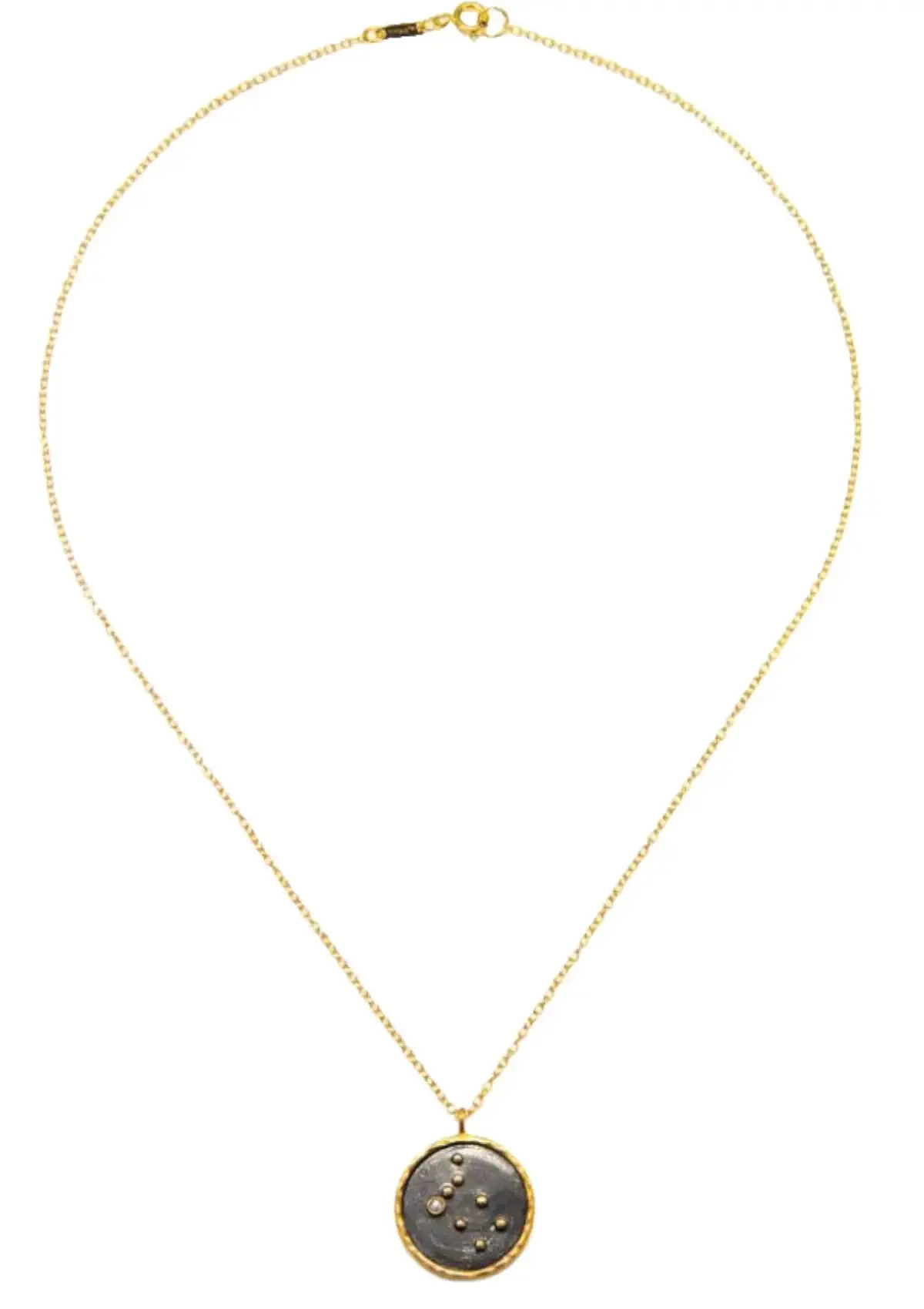 Zodiac Necklace - Capricorn